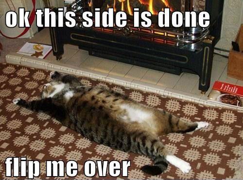 Cat in front of fire
