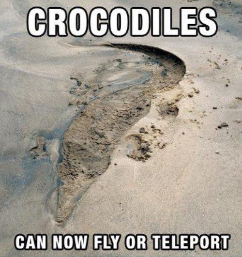 Crocodile body print