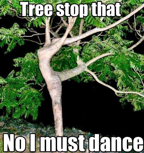 Dancing tree