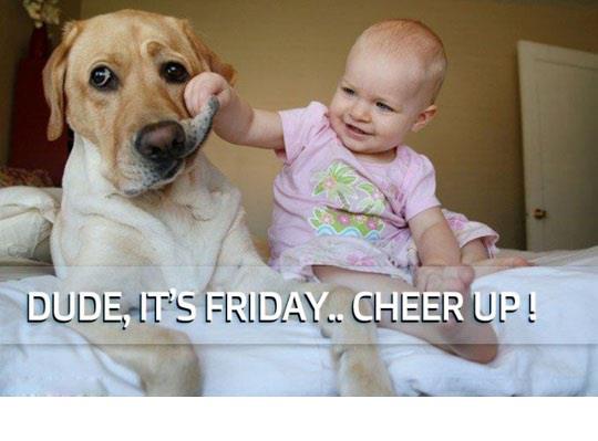 Funny girl and dog