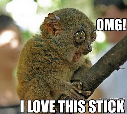 Monkey says OMG I love this stick