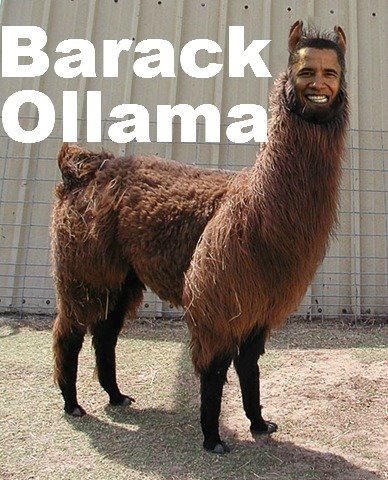 Obama meme which is one of the funniest photos on the internet