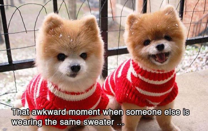 Wearing same jumpers