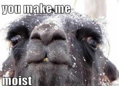You make me moist