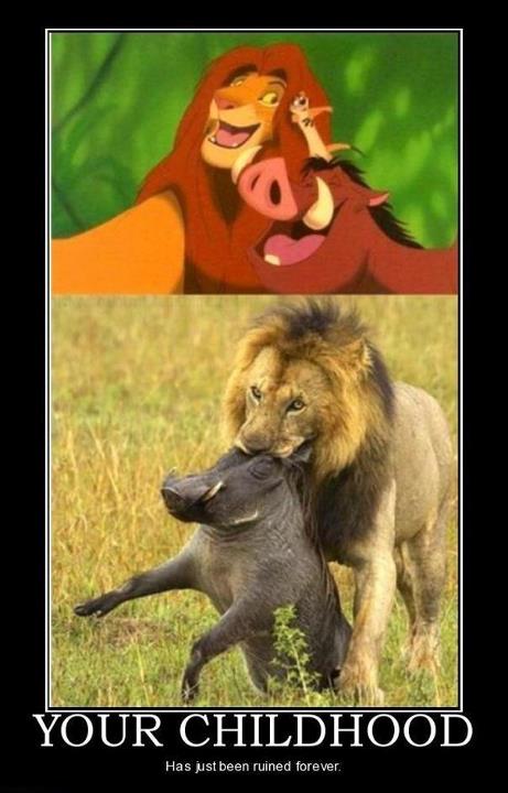 Lion king meme