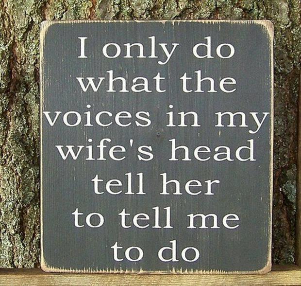 Voices in wifes head